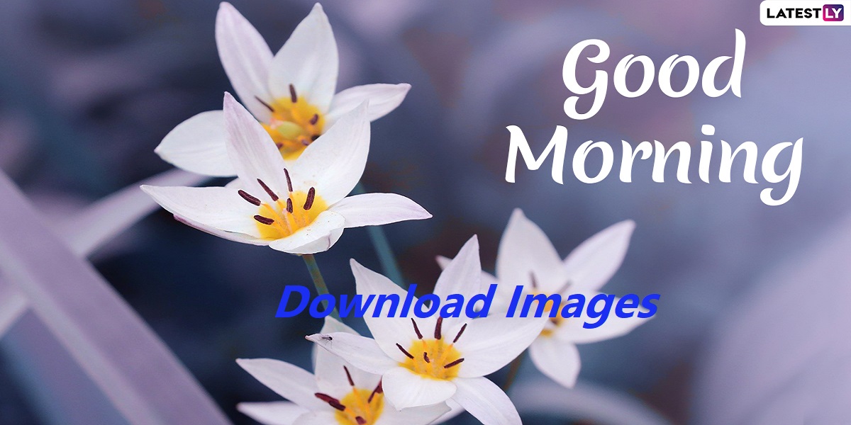 good morning images new